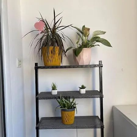 Διαμέρισμα Comfy Cozy